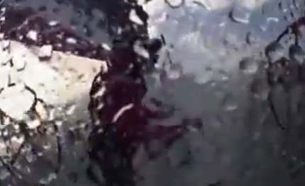 volvo ocean race video il team sca completamente sotto un onda
