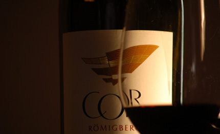 vini il cor romigberg cabernet sauvignon 2010