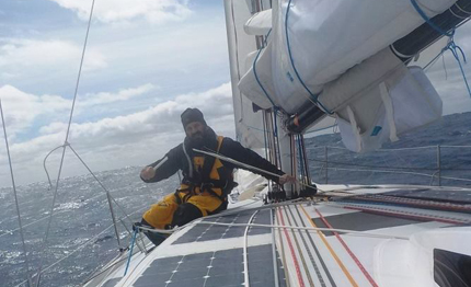 il diavolo della tasmania