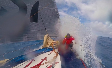 caribbean 600 race sfida tra le isole
