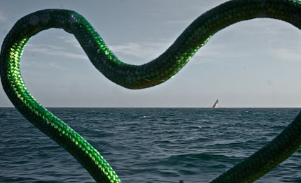 volvo ocean race magnifica incerta del doman non certezza