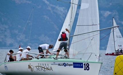 dolphin baraimbo il campione italia