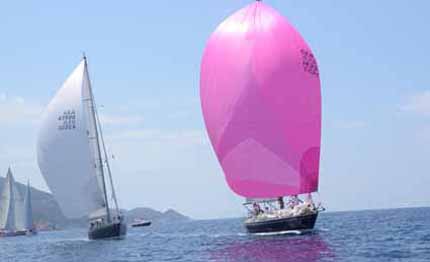 sehkraft vince la 7ma edizione dello swan rendez vous