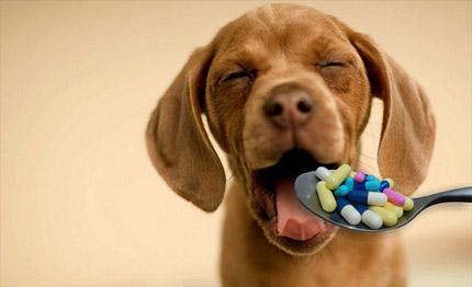 farmaci peso oro per gli animali
