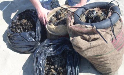 ci mancavano ricettatori di cozze