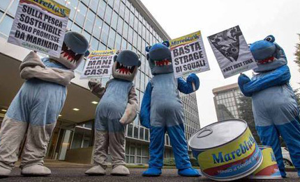 manifestazione greenpeace contro la pesca indiscriminata del tonno