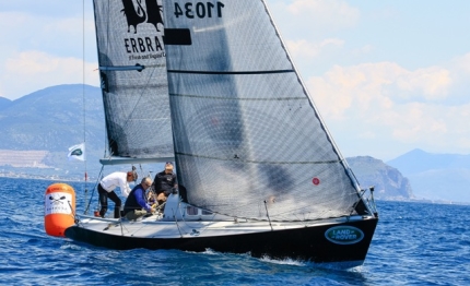 half ton vince stern erbrand