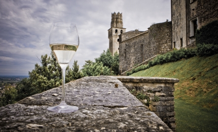 vino in villa 2016