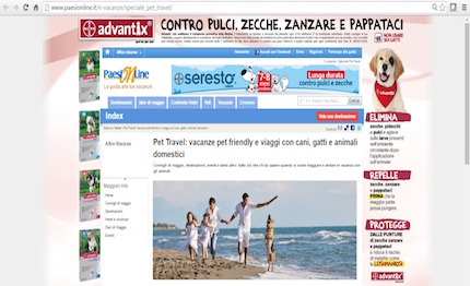 pet travel su paesionline la prima rubrica interamente dedicata viaggi zampe