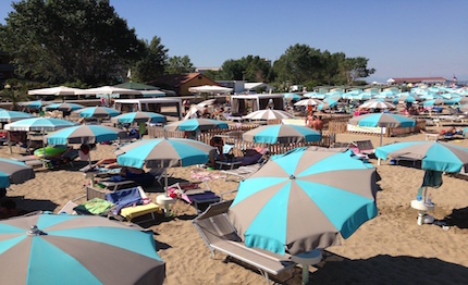 la doggy beach il primo stabilimento balneare pet friendly di lignano