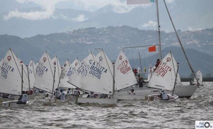 domenica viareggio la vii prova del campionato zonale optimist