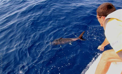 la pesca sportiva al salone nautico internazionale di genova