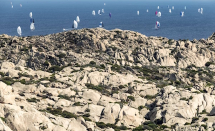 giornata di bonaccia per cigni