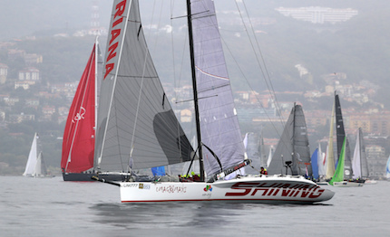 shining umago maxi vince la portopiccolo maxi race 2016