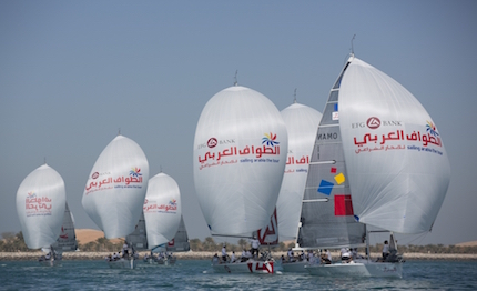 adelasia arabia