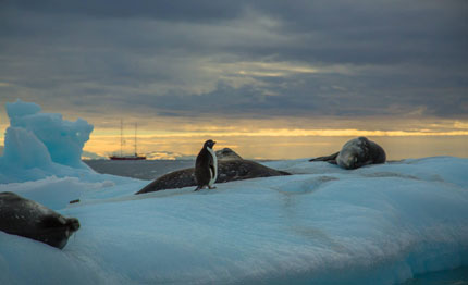 ocean film festival world tour fa tappa roma