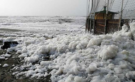mare nostrum mare monstrum la spiaggia di ostia invasa dalla schiuma