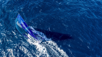 vor brunel dongfeng lotta per la vittoria
