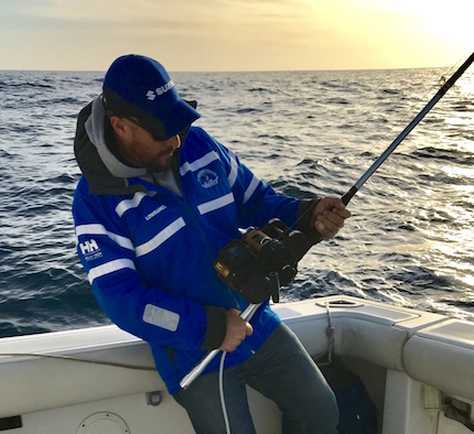 esordio del team ufficiale idefix suzuki al tuna game di riccardo fanelli