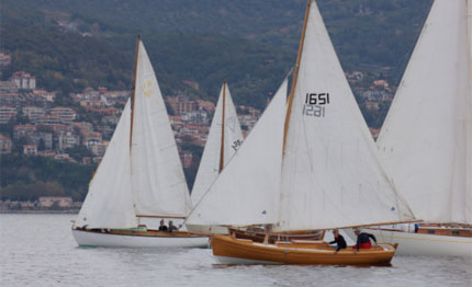 vele epoca nel golfo di trieste