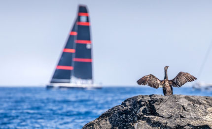 tp52 manca il vento minorca ci si riprova oggi