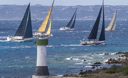 la maxi yacht rolex cup la rolex swan cup sono confermate