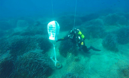 ventotene rimosso dai fondali fatto brillare ordigno della ii guerra mondiale
