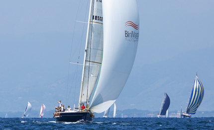 viareggio domenica la quot regatalonga quot