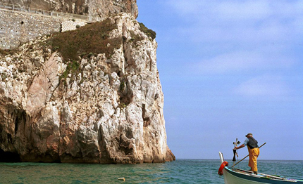 il mediterraneo muore di caldo