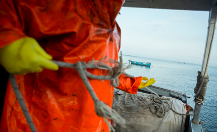 8217 anno internazionale della pesca artigianale dell acquacoltura