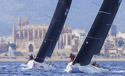 palma gli swan al centro della copa del rey