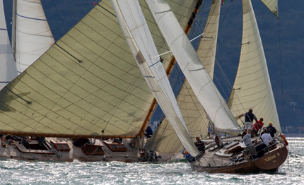 nembo ii mariska kukurubu barcolana 50 vincitori del 25 raduno citta di trieste