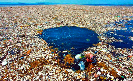 plastica il wwf richiede il divieto globale per prodotti ad alto rischio