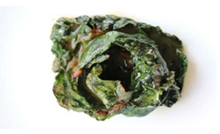 la ricetta del cavolo nero pomodoro della chef antonia klugmann benessere stellato in tavola