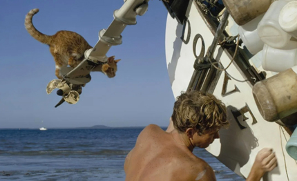 robin lee graham un giro del mondo senza tacer dei gatti