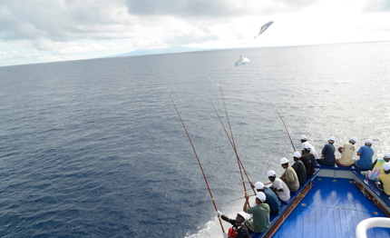 filiera ittica impegno di bolton wwf oxfam