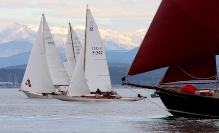 le vele epoca nel golfo di trieste