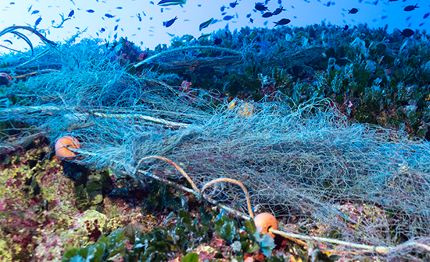 wwf carabinieri subacquei rimuoveranno una maxi rete impigliata al largo di genova