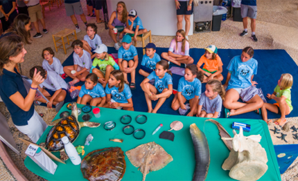 52 super series raggiunti gli obiettivi di sostenibilita 52 super series raggiunti gli obiettivi di sostenibilita