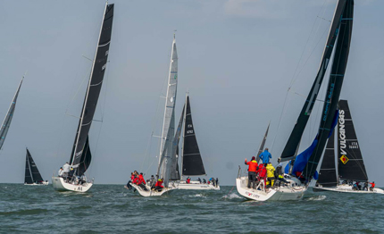 rimini conclusa la sardina cup